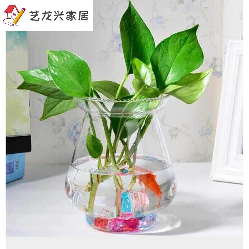 养花的玻璃瓶 简约小清新玻璃花瓶透明水培花盆水养绿萝植物器皿小号