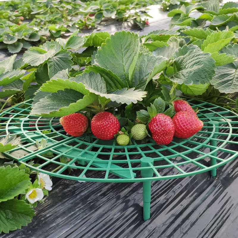 寿禾 草莓种植架支撑架防倒伏 草莓架支架 3套