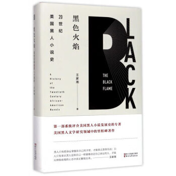 黑色火焰 20世纪美国黑人小说史（16开精装）