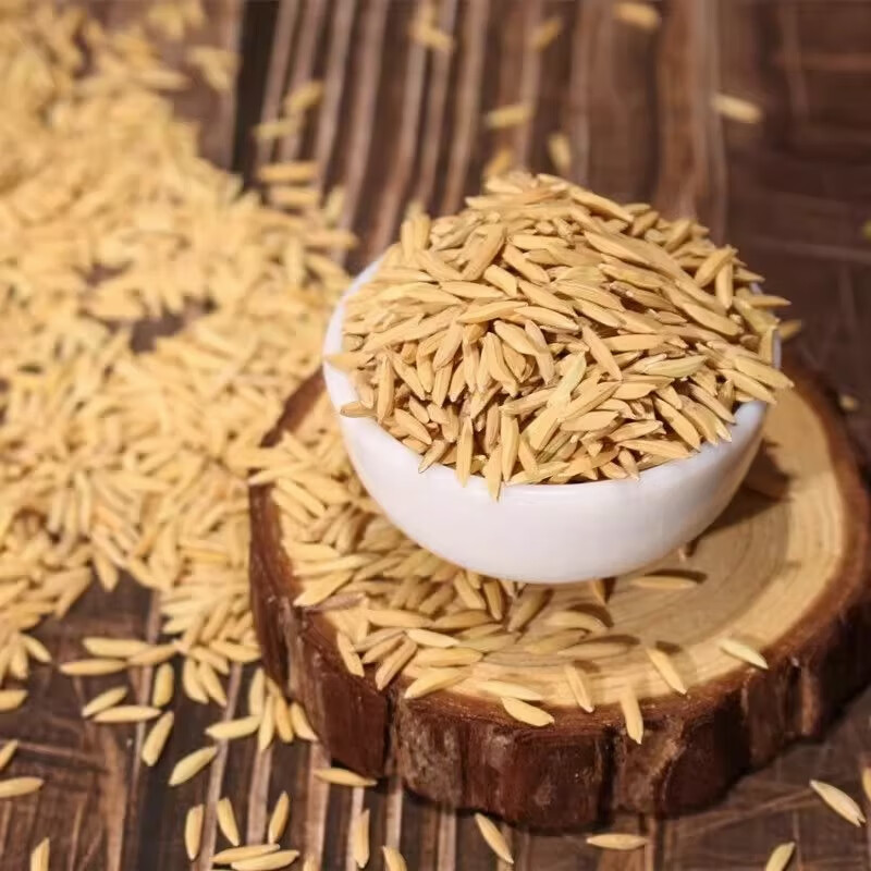 mlhj土工格栅10斤稻谷水稻带壳稻子带壳大米水稻粮食喂鸡喂鸭园艺辅材