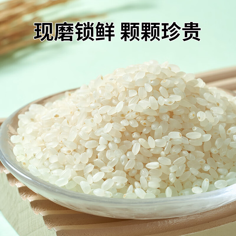 荆楚大地 臻选寒地珍珠米5Kg  圆粒大米 当季新米（非真空包装）