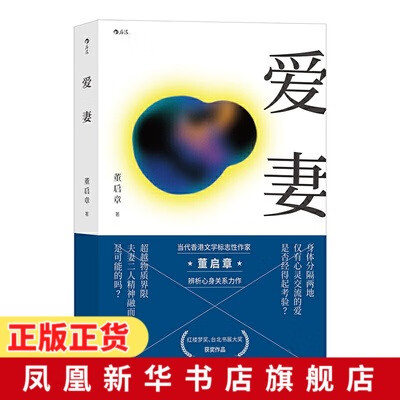 爱妻 香港作家董启章著作 精神史三部曲 台北书展大获作品 现当代文学作品言情小说书籍【凤凰新华书店旗舰店】