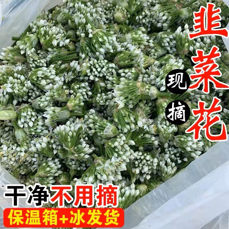 26年头茬韭菜花新鲜蔬菜现摘现发冰鲜到家韭花新鲜韭菜花韭花花菜 2斤 京东折扣/优惠券