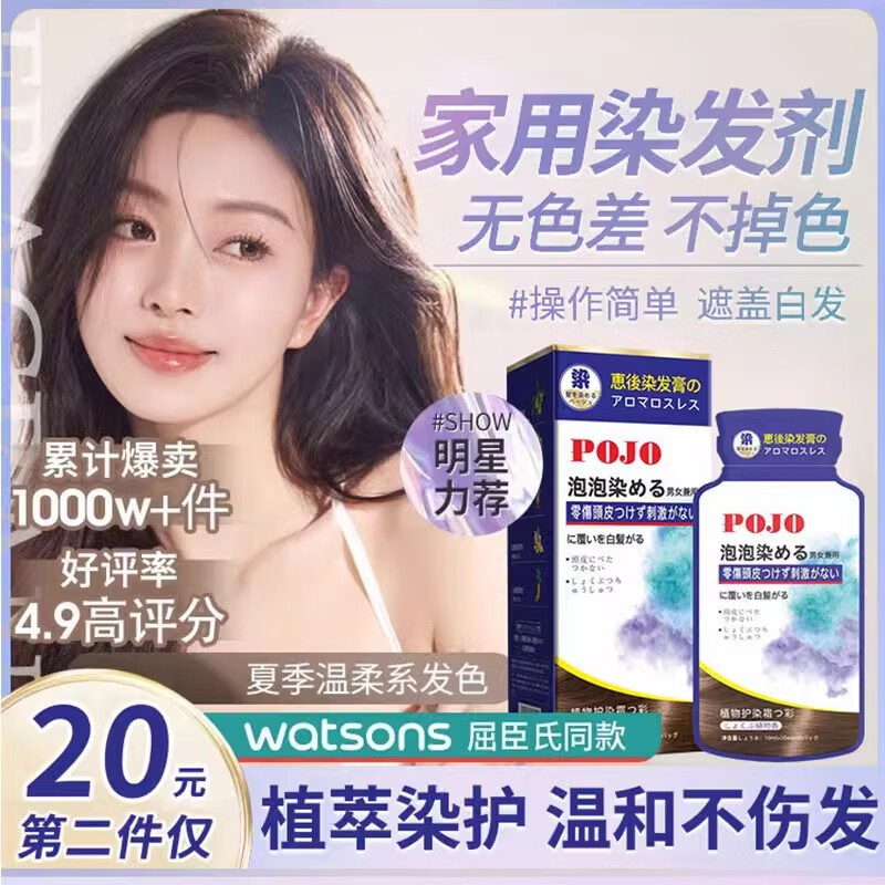 pojo，PojovLauncher我的世界