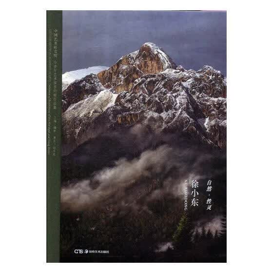 自然·性灵 徐小东 绘画 徐小东著 湖南美术出版社 9787535685797