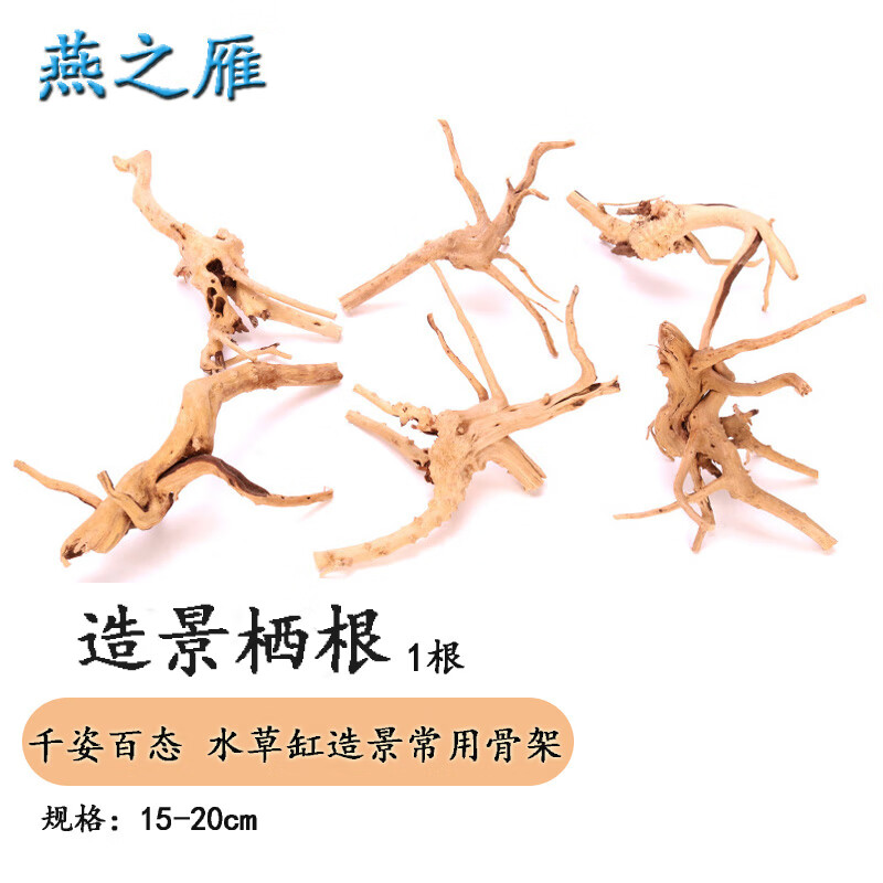 燕之雁 鱼缸造景栖根 水草水陆缸莫斯树骨架状似杜鹃根 栖木沉木蜘蛛木属于什么档次？