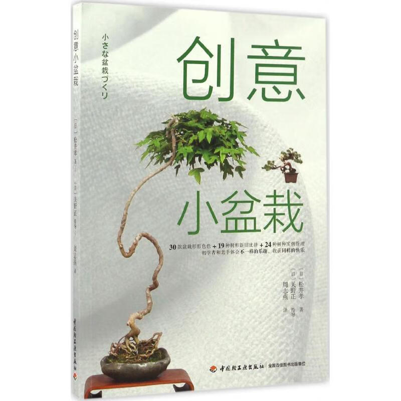 创意小盆栽