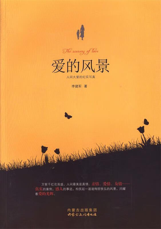 爱的风景【正版图书,放心购买】