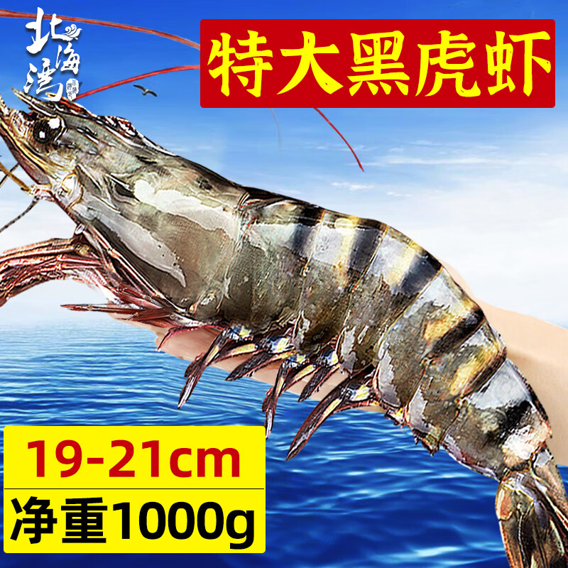 北海湾 高品质活冻黑虎虾 超大虾类大虾生鲜老虎虾冰鲜印度海虾盒装送礼 19-21cm【高品质】 1000g(净重) 