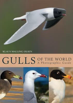 预订 gulls of the world: a photographic guide