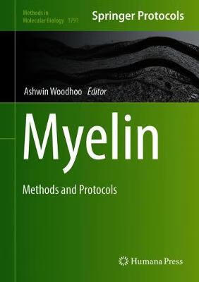 预订 myelin
