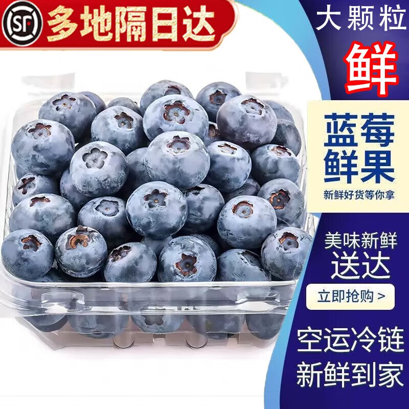 佳宝臣 VEYBOUSON蓝莓树莓当季高山甜莓 新鲜水果 时令生鲜 孕妇水果G01 单盒子1个 盒子 一个12-18cm