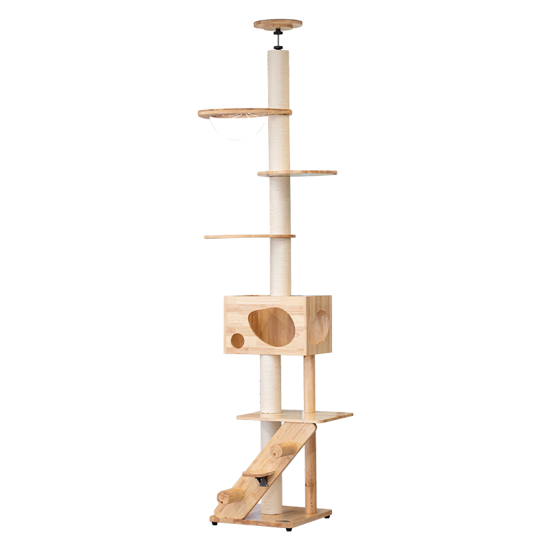 🚀【限时折扣】最新价格走势！10秒内抢购价格再降3%，手慢无！|猫爬架怎么看历史价格