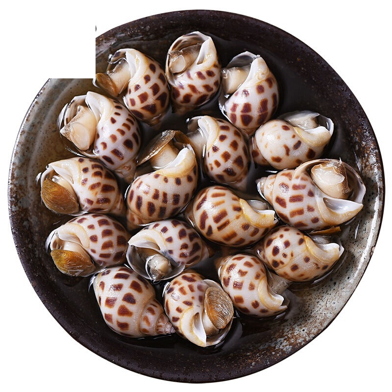 虎钢馋 醉东方螺 醉花螺 醉香螺 海猪螺 南风螺 腌制海鲜即食