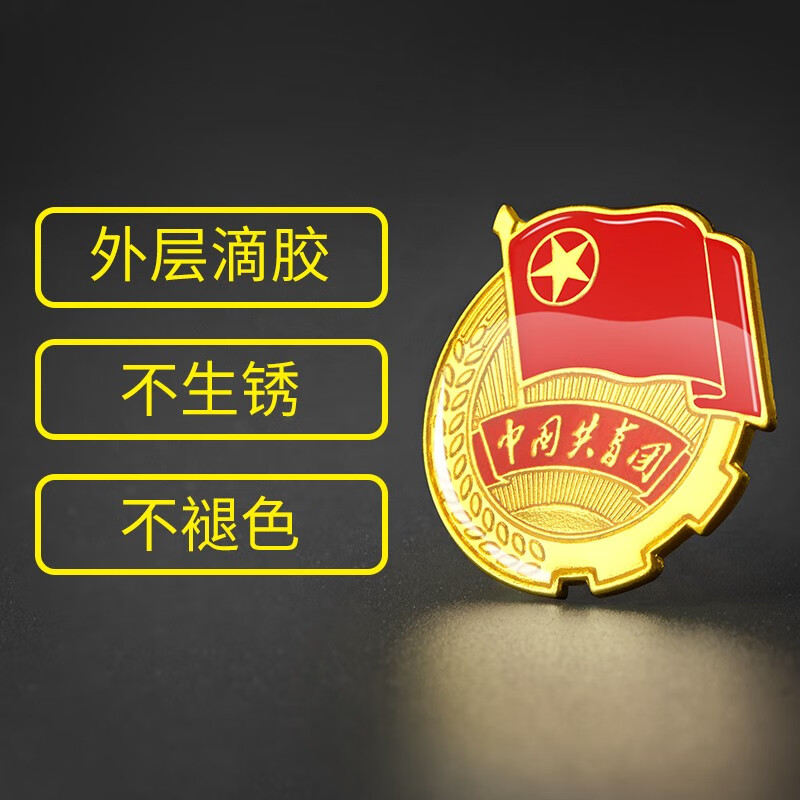 优和(uhoo)共青团团徽标准款别针大磁扣 学生团员适用团徽 小号直径2