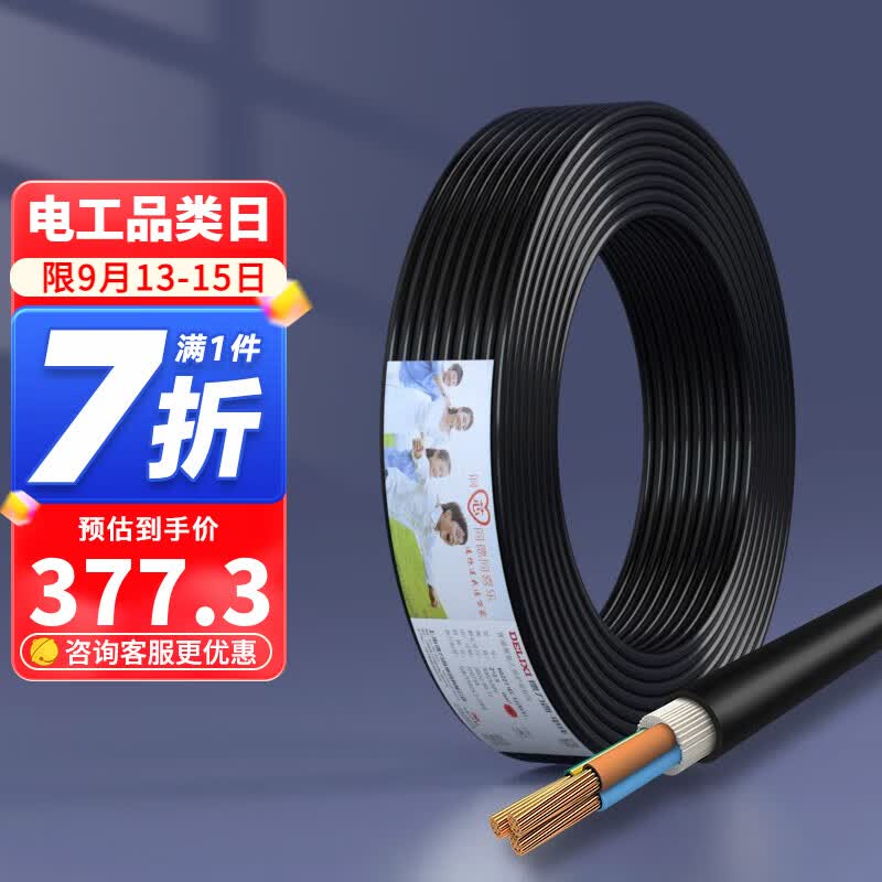 德力西（DELIXI） 电线电缆RVV二芯三芯软护套线2.5平电源线铜芯国标铜线黑色 RVV 3芯*2.5平方（50米）属于什么档次？