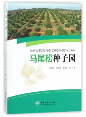 马尾松种子园