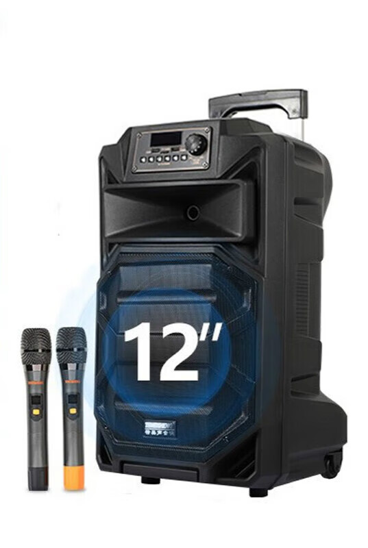 特美声(temeisheng)sl12-31广场舞专业户外音响带无线话筒移动便携式