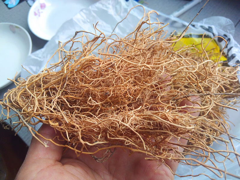 野外生徐长卿中药材 对叶莲竹叶细辛獐耳草辽刁竹干货 500g