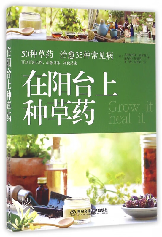 在阳台上种草药
