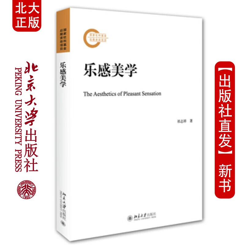 北大正版 乐感美学 北京大学出版社