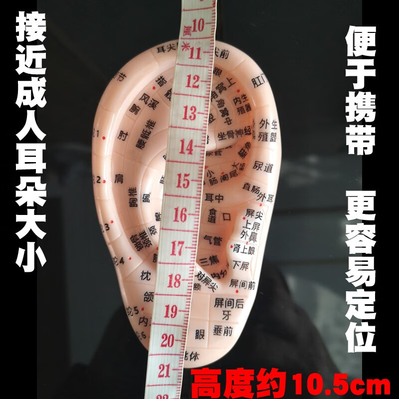 王不留行耳贴耳穴贴探针压豆多穴位按摩耳朵模型反射区探穴笔行籽 10.