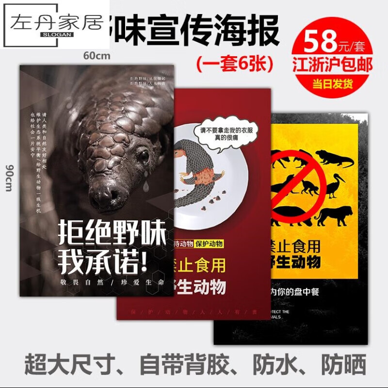 创京懿选高品质千惠侬禁止食用野生动物宣传海报拒绝野味环境清理非洲
