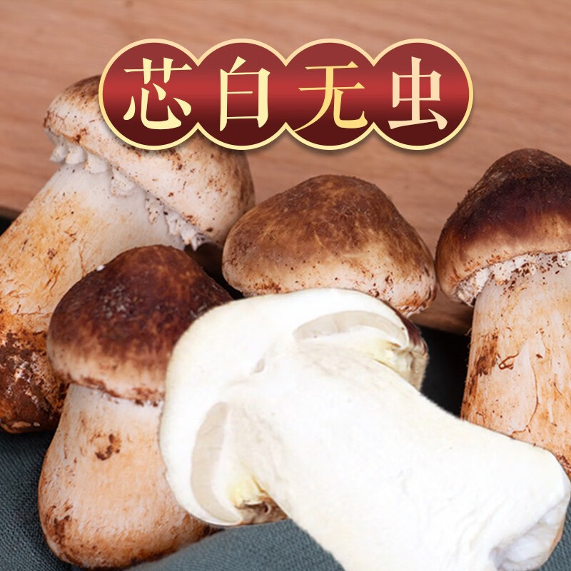 高原云品新鲜赤松茸 云南姬松茸 煲汤火锅食材 航空冷链发货 家宴美食 2000克