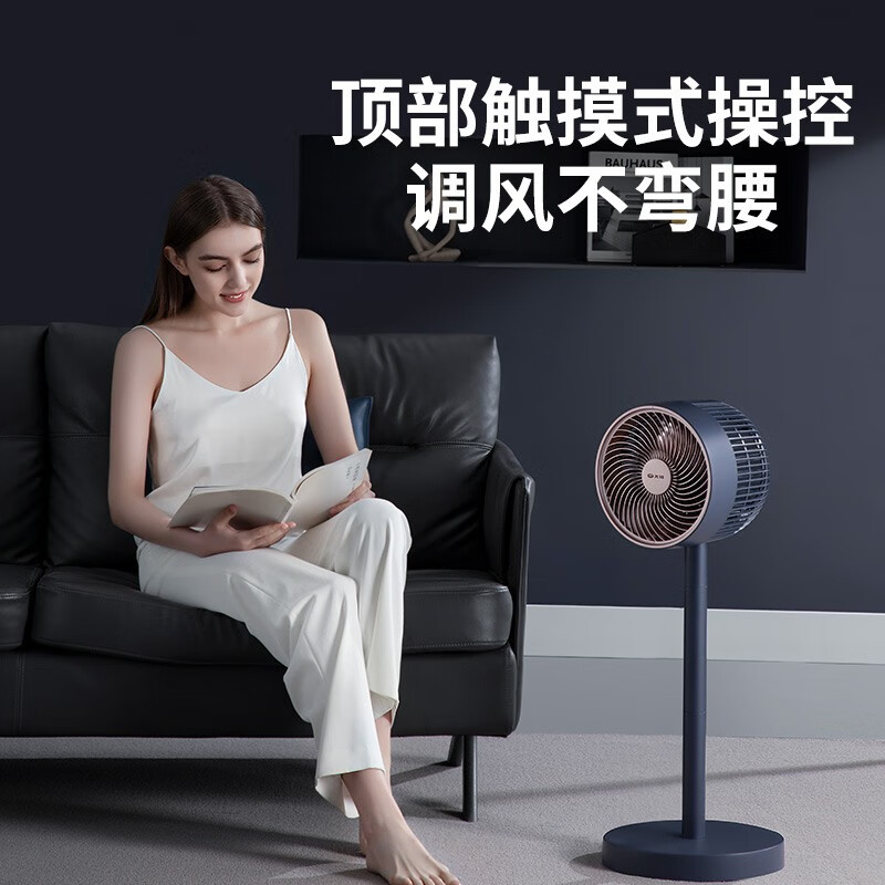 先锋（SINGFUN）空气循环扇直流变频遥控大风量电风扇家用摇头电扇台地两用风扇节能落地扇便捷收纳DXH-S16R