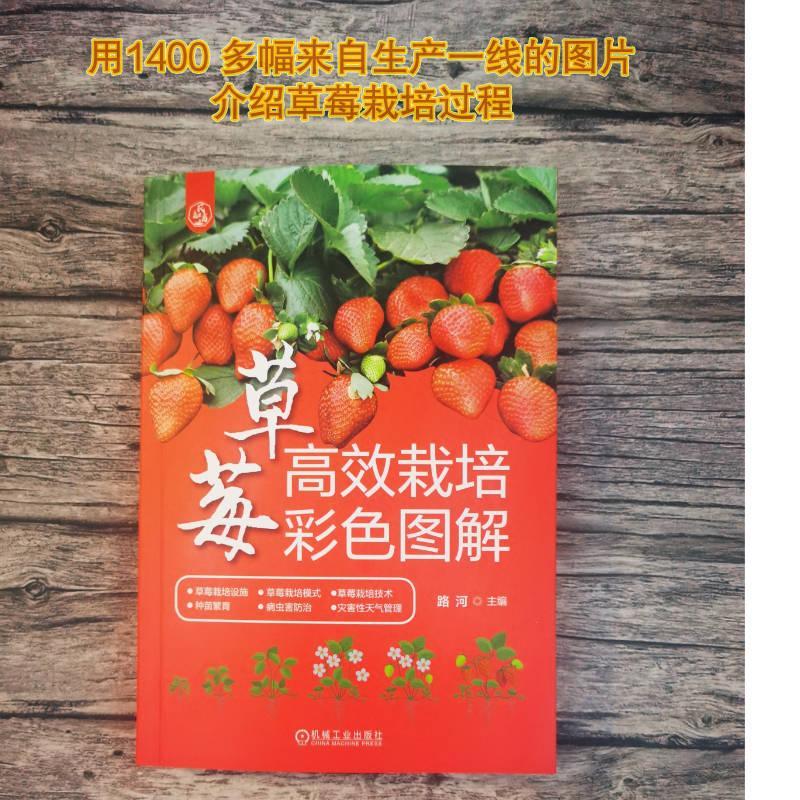 草莓栽培彩色图解农业/林业  图书