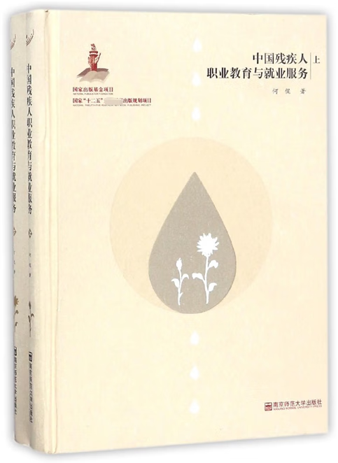 中国残疾人职业教育与就业服务(上下)(精)