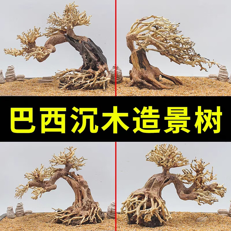 clcey鱼缸水草造景巴西树成品莫斯树树形沉木树根小 随机/高15长15