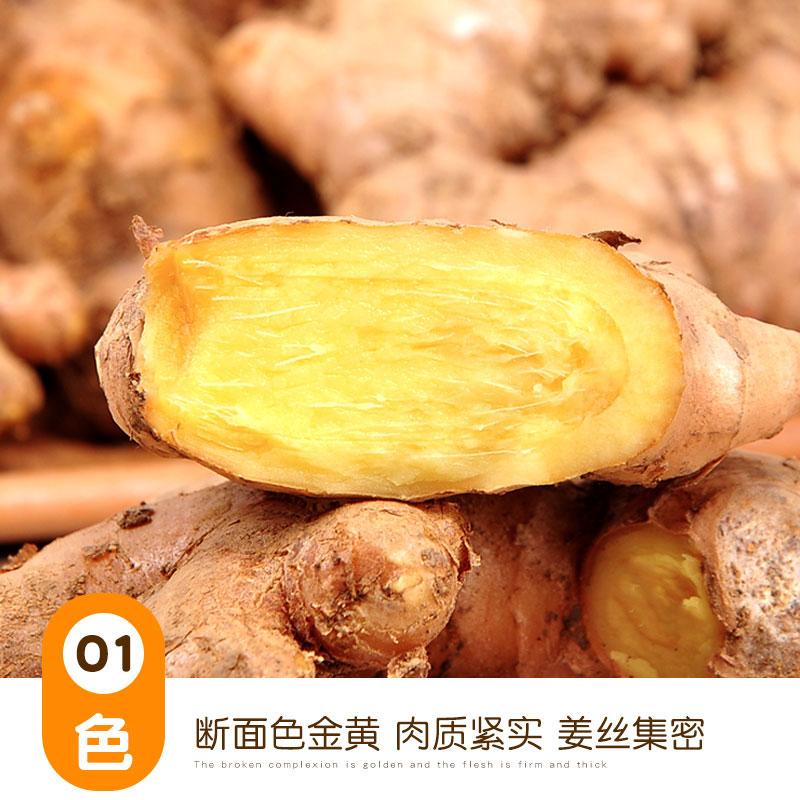 中鲜生 云南小黄姜 现挖生姜 新姜月子姜 新鲜蔬菜生鲜 小黄姜3斤净重