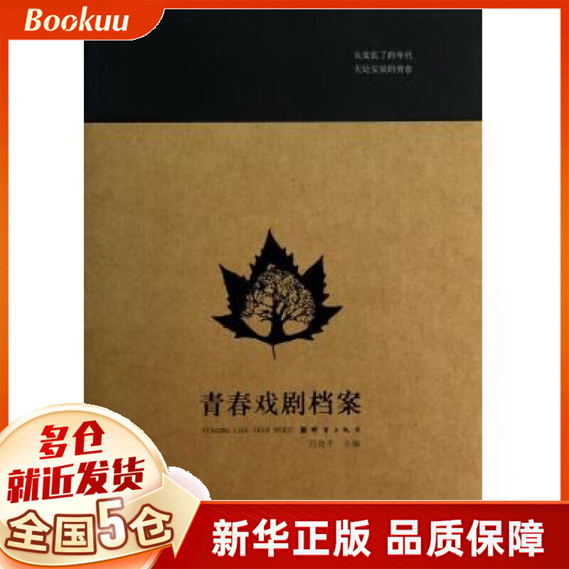 青春戏剧档案