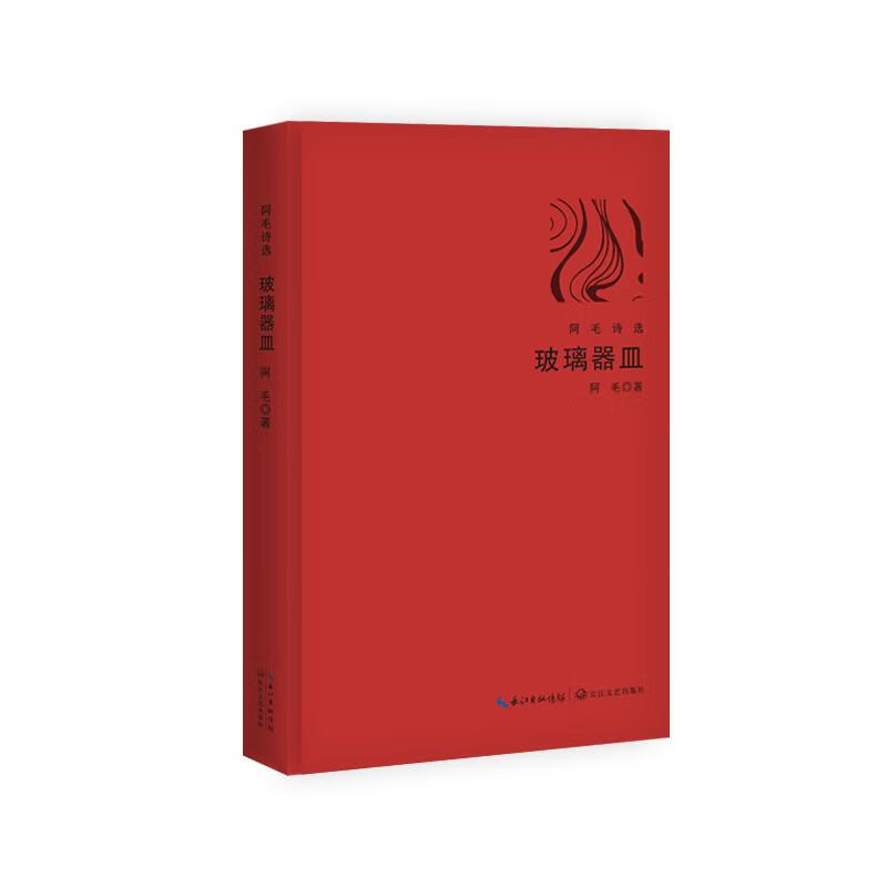玻璃器皿(阿毛诗选) 文学 阿毛著 长江文艺出版社 9787570200801
