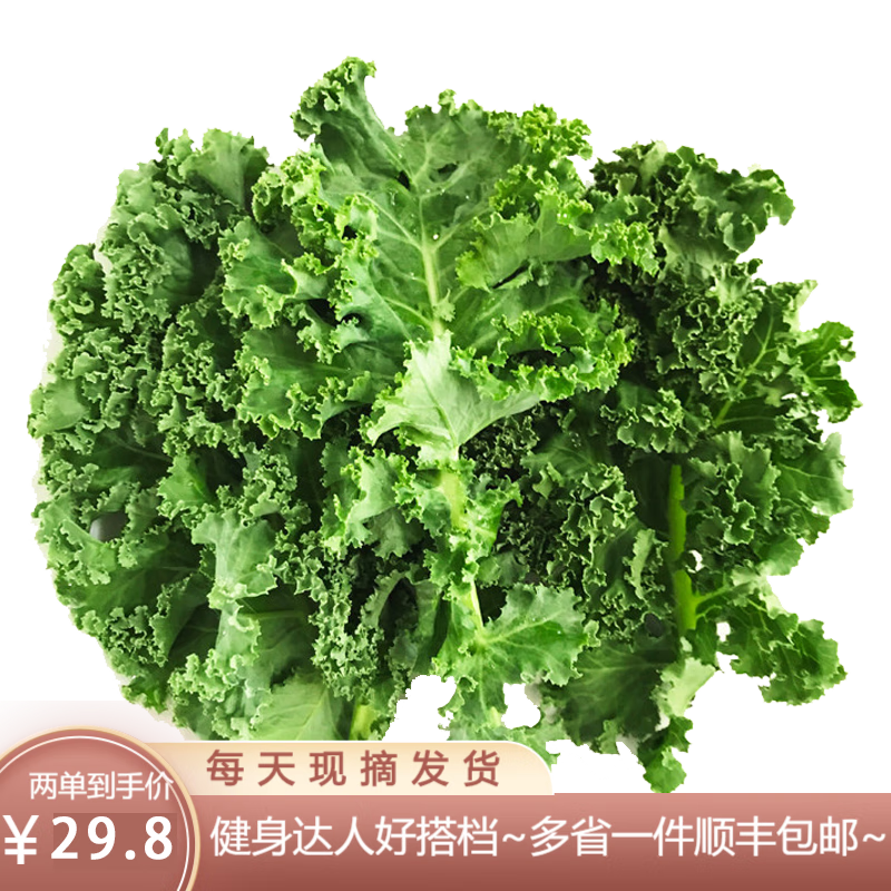 真京 羽衣甘蓝 500g 新鲜蔬菜 食用叶杜丹绿叶花包菜kale西餐榨汁蔬菜