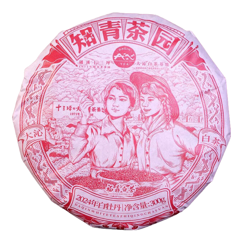 大沁白茶2025年新品 白牡丹白茶福鼎磻溪知青茶園餅 300g 【2024年】整提300克*7餅