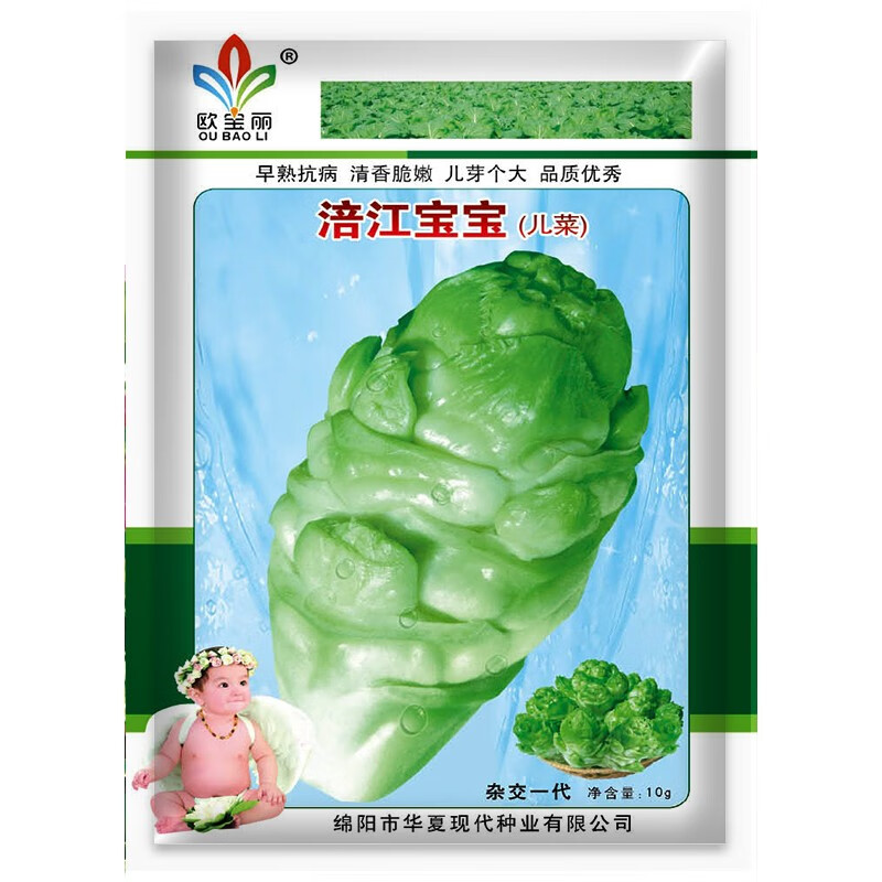 凤鸣雅世涪江宝宝儿菜种子芥菜籽娃娃菜抱孑菜籽耳菜抱儿菜籽秋季蔬菜