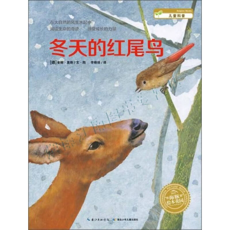 海豚花园:冬天的红尾鸟【上新】