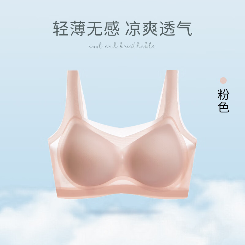 文胸历史低价查询|文胸价格走势图