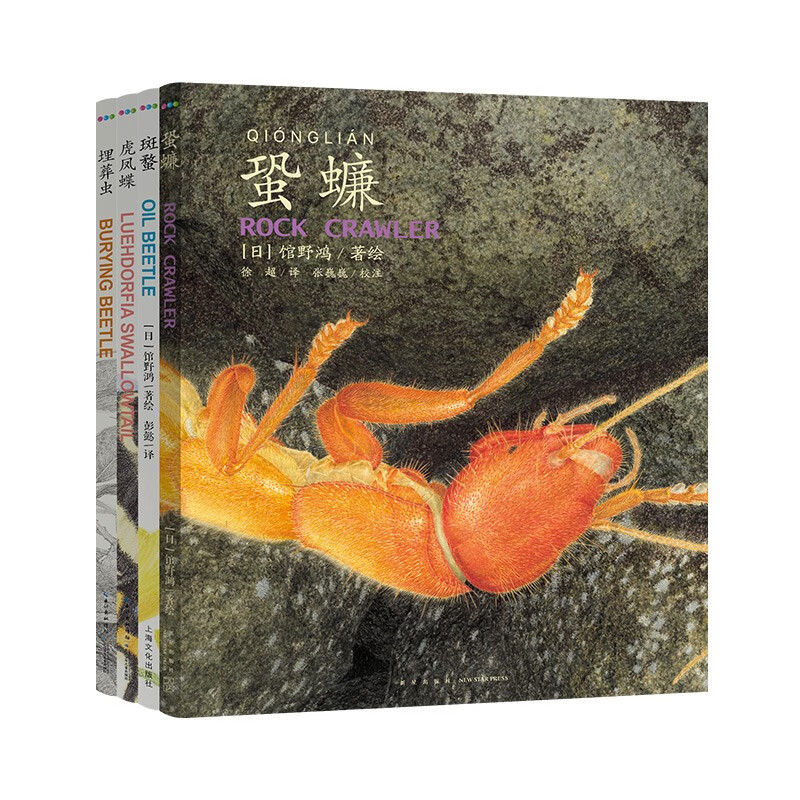 【全套4册】馆野鸿科学绘本 精装 蛩蠊斑蝥虎凤蝶埋葬虫昆虫书籍科普