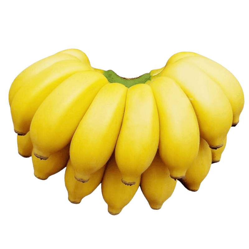 国庆节香蕉购买指南，价格走势与品牌推荐