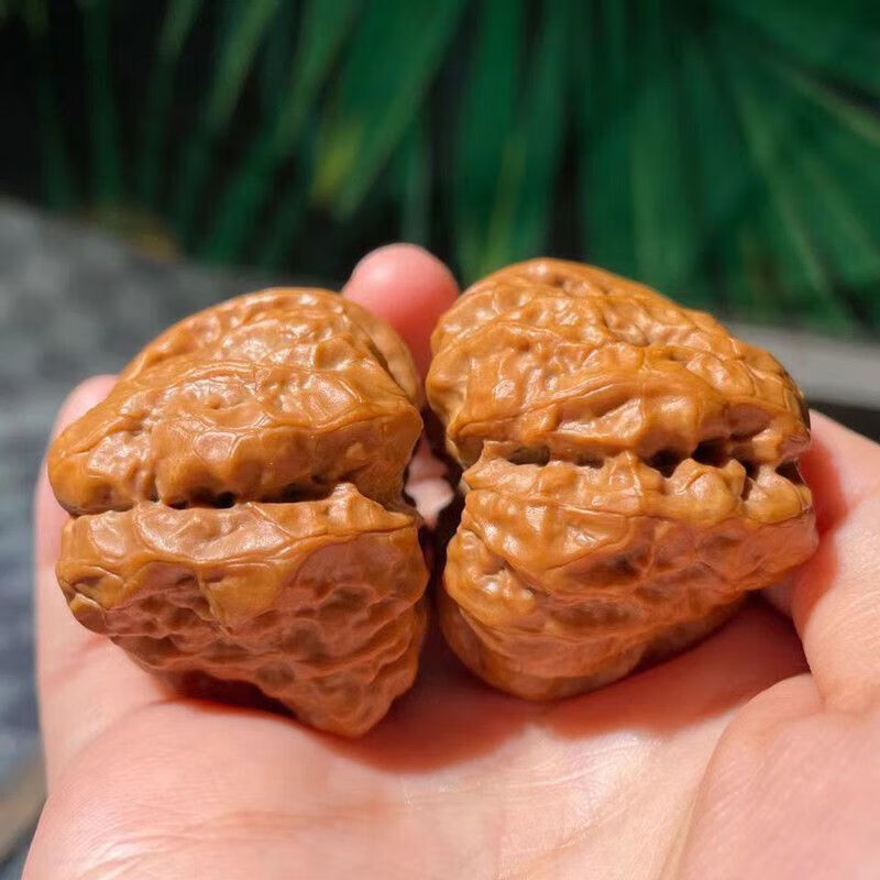 创京懿选文玩核桃蛤蟆头金蟾蛤蟆头延庆蛤蟆头金蟾尊蛤蟆头文玩核桃