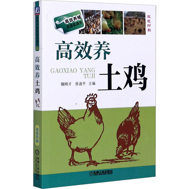 高效养土鸡