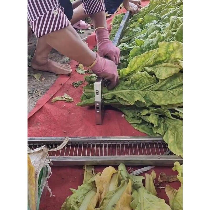 普若德梳式烤烟夹子高质量梳式烟夹烤烟夹子梳式烤烟夹烤烟夹烤烟编