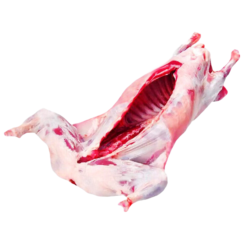 ̲ ʰֻ ȫֻ ԭЫ4ʵ68Ԫ