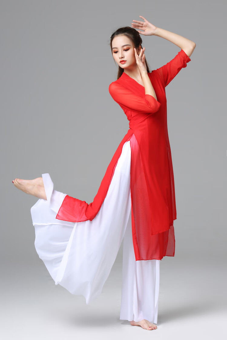 点策古典舞服装练功服女飘逸中国风现代舞演出服形体身韵纱衣阔腿裤