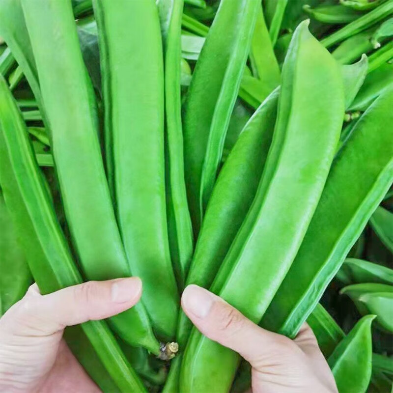 看花草林木类历史价格|花草林木类价格比较