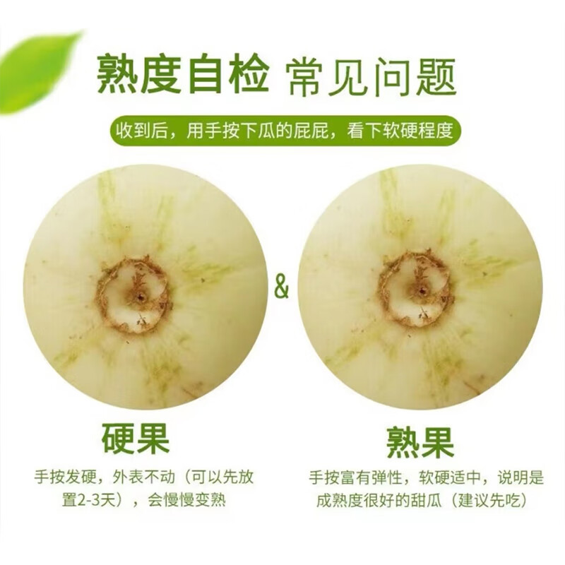 生活＆好管家山东玉菇甜瓜冰淇淋香瓜甜瓜水果当季新鲜现摘整箱 精选暖棚净重4.5-5斤——2-3个