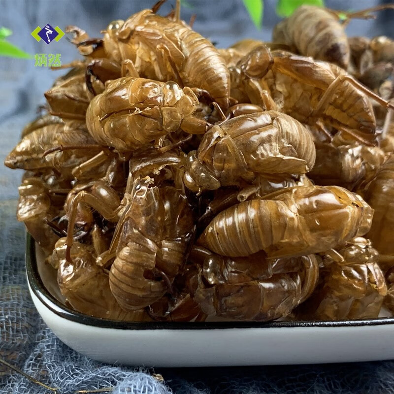 炳然蝉蜕50克蝉衣知了皮金蝉衣蝉退壳毛猴虫蜕中药材可磨蝉蜕粉